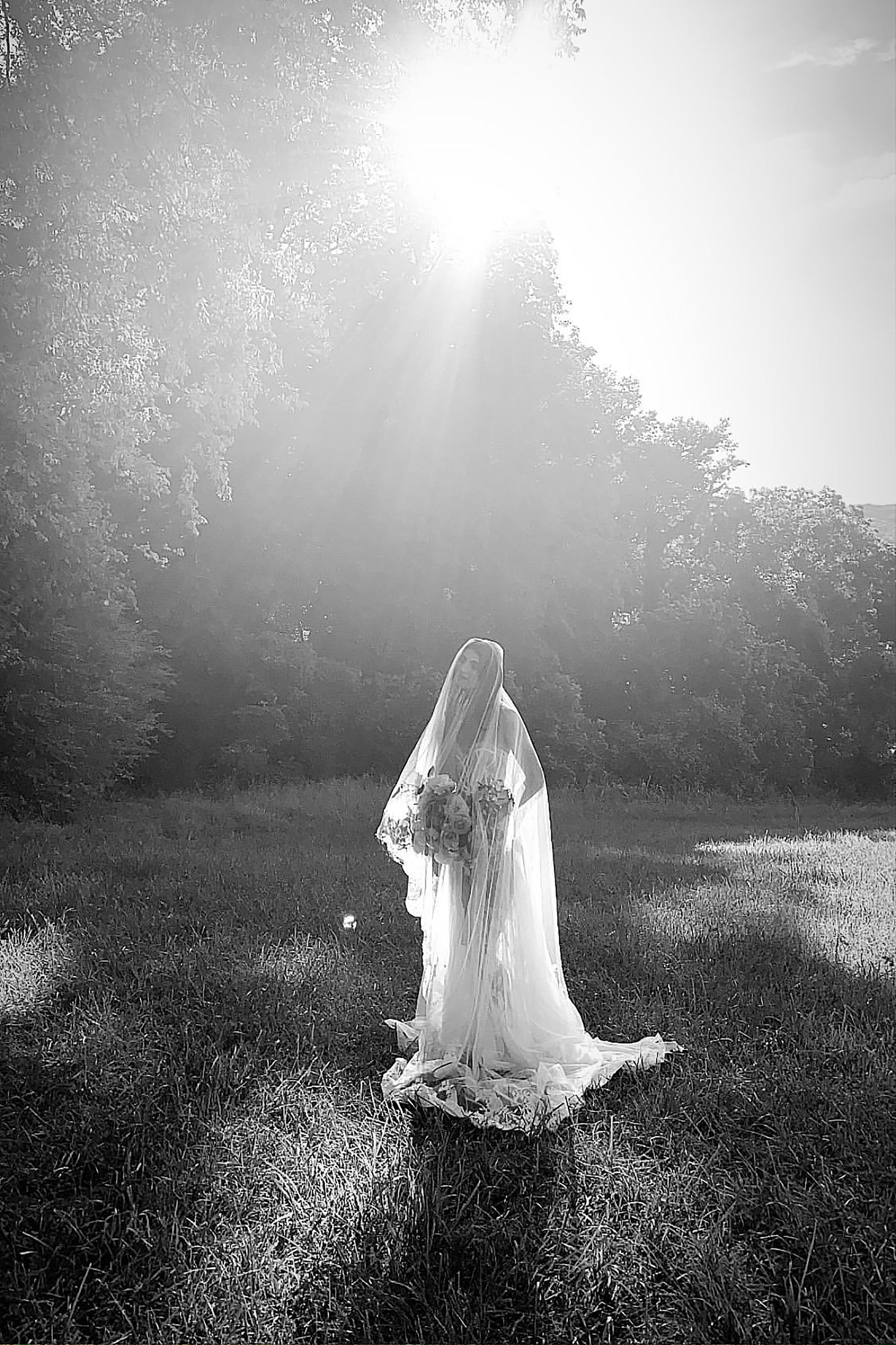 Antibes Chantilly French lace lux veil in Ivory